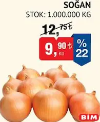 SOĞAN KG SOĞAN KG